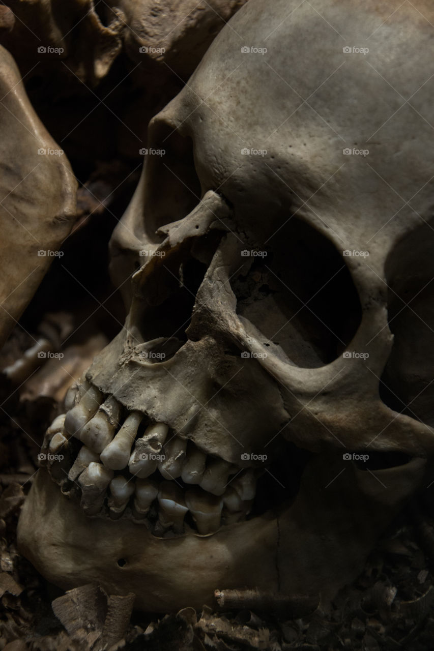 Skulls on show for the public at a local museum in Sweden.