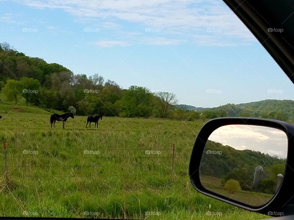 Driving the Back Roads and enjoying everything around us