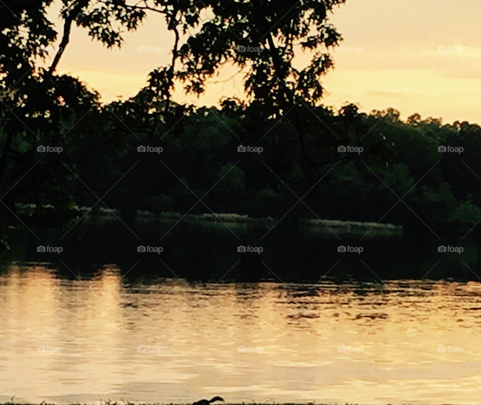 Beautiful lake with a touch of the sun setting.