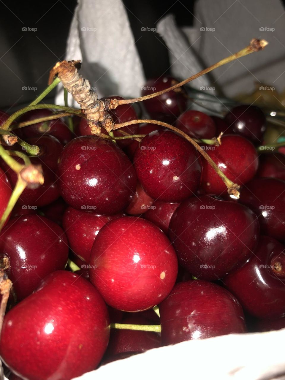Fresh picked cherries 
