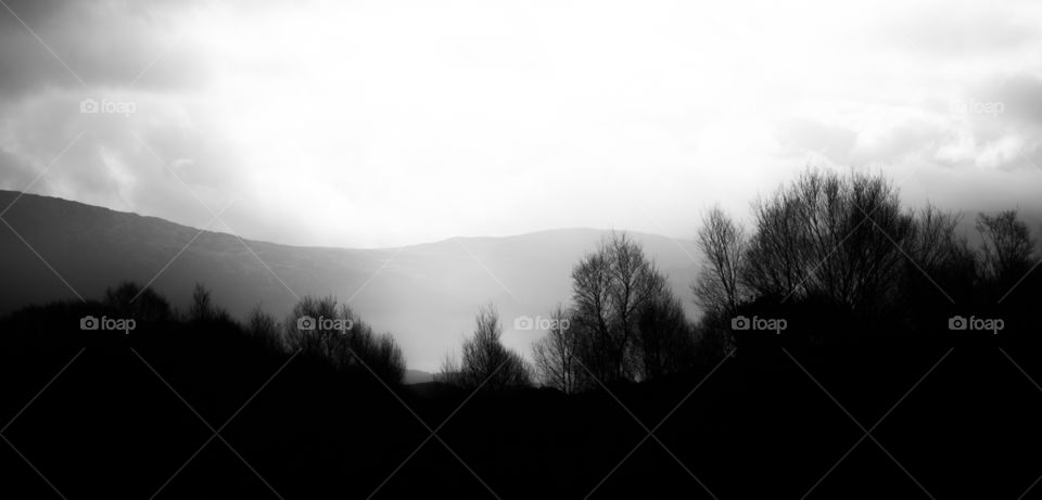 Fog, Monochrome, Landscape, Tree, No Person