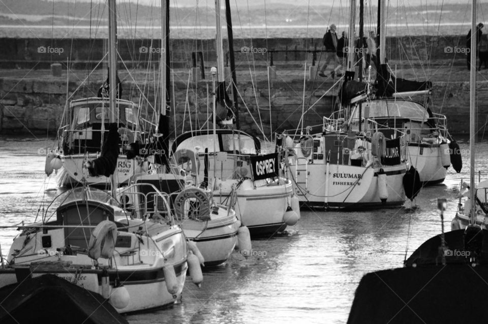 Black and white view of harbour