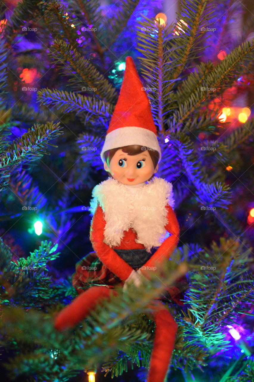 Elf on the Shelf 
