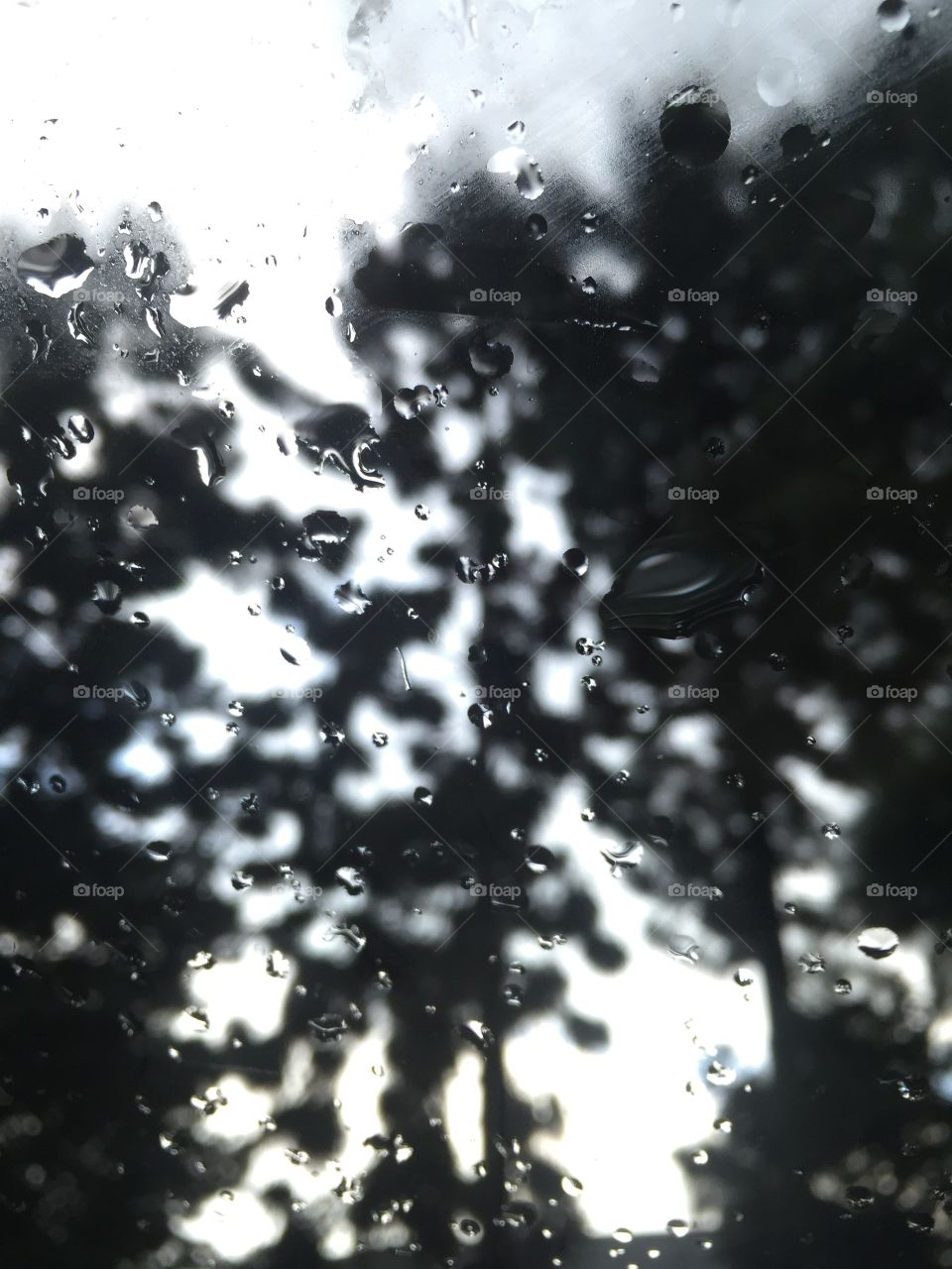 Raindrops on the windscreen of car 