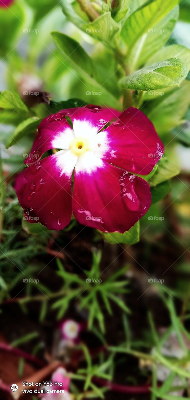 #foap #infoapartemen #foapjuly18 #foapaug18 #foapfeb18 #foapapril17 #foapers #foapjune18 #fotografoaprendiz #sfoapprentices #foaper #infoapartment #foapmission #foapmay18 #foapapr18 #foapit #infoaplikasipaytren #infoapple #foapom #foapjan19 #infoapp