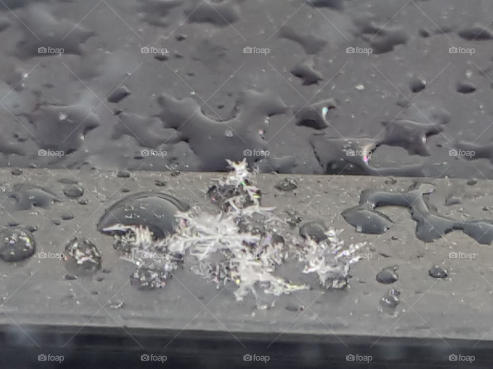 Captured snowflakes before it melted.