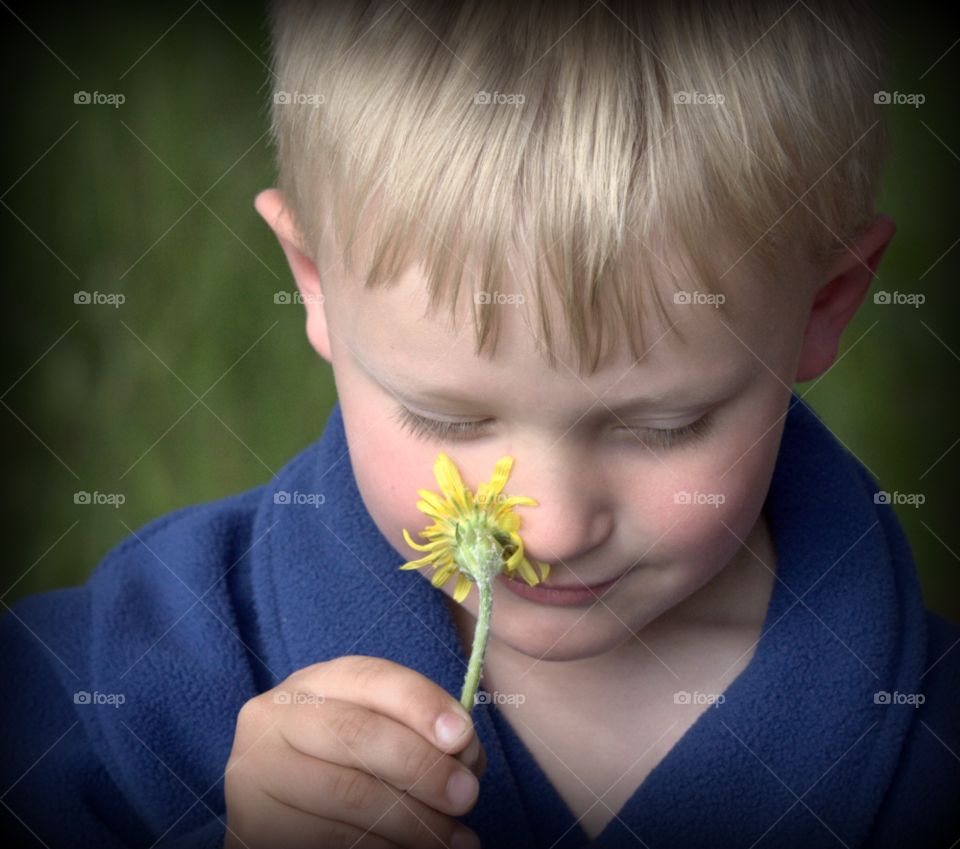 sweden flower summer boy by spectoccasio.com