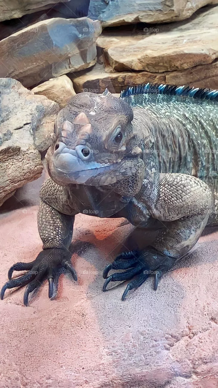 Happy little fella :) 
