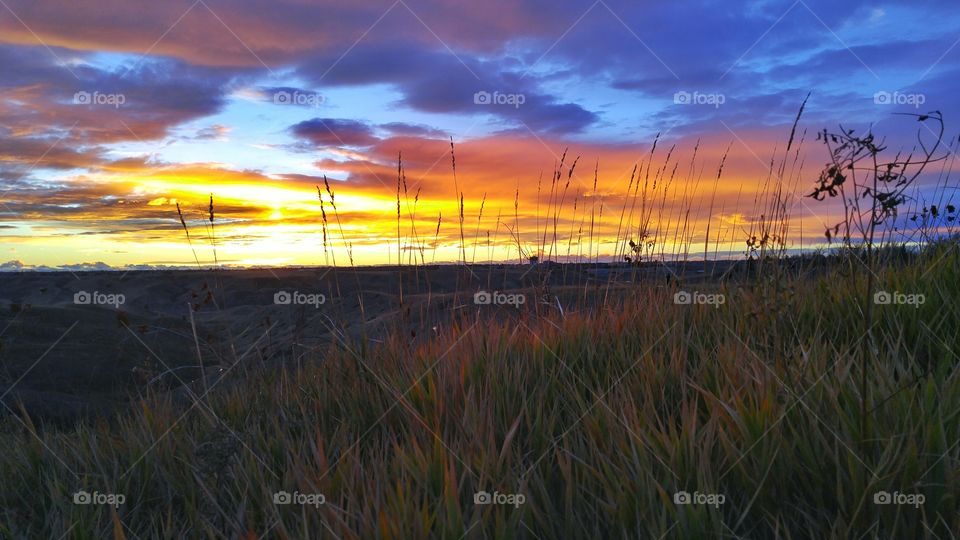 Scenic view of sunset