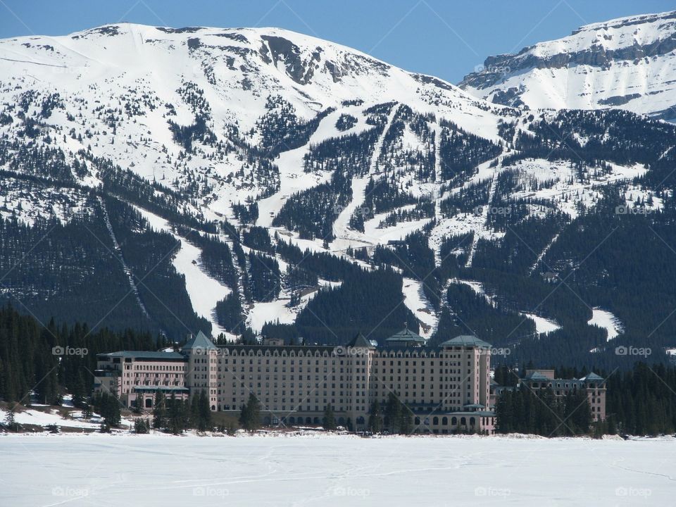 Chateau Lake Louise 