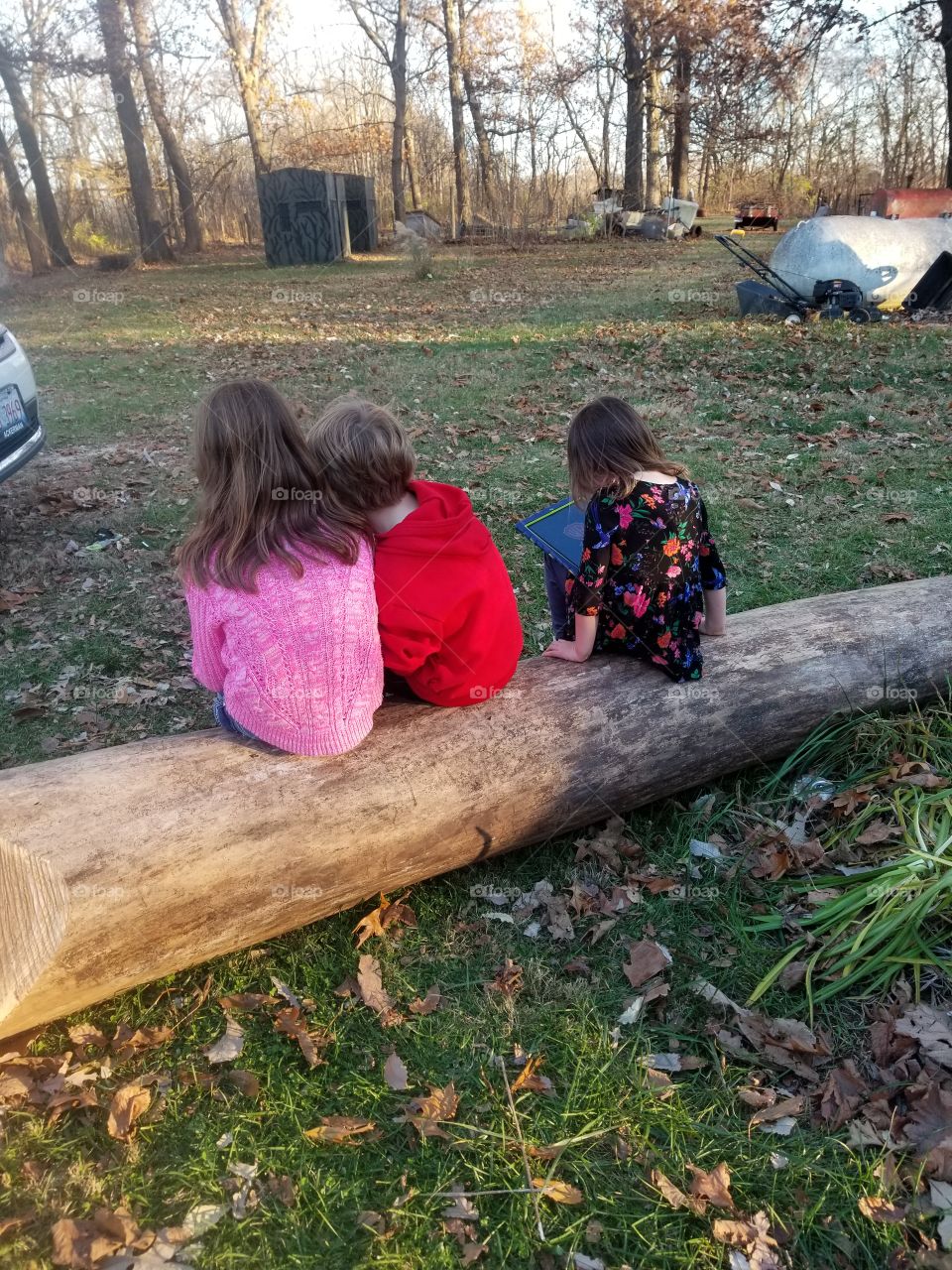 there kids on a log