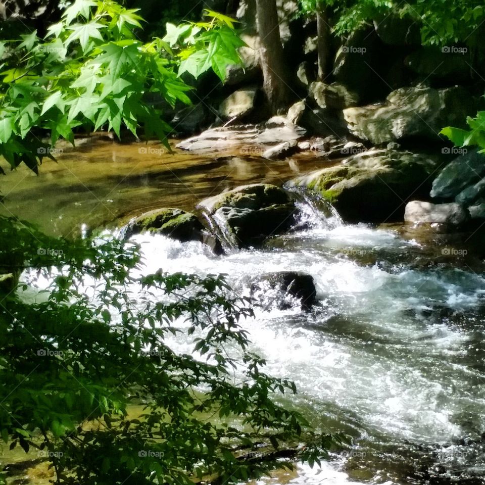 Waterfalls water nature woods forest natural colors outdoors beauty 