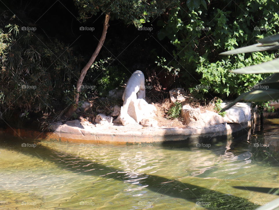 Am animal statue surrounded by rocks and a small lake