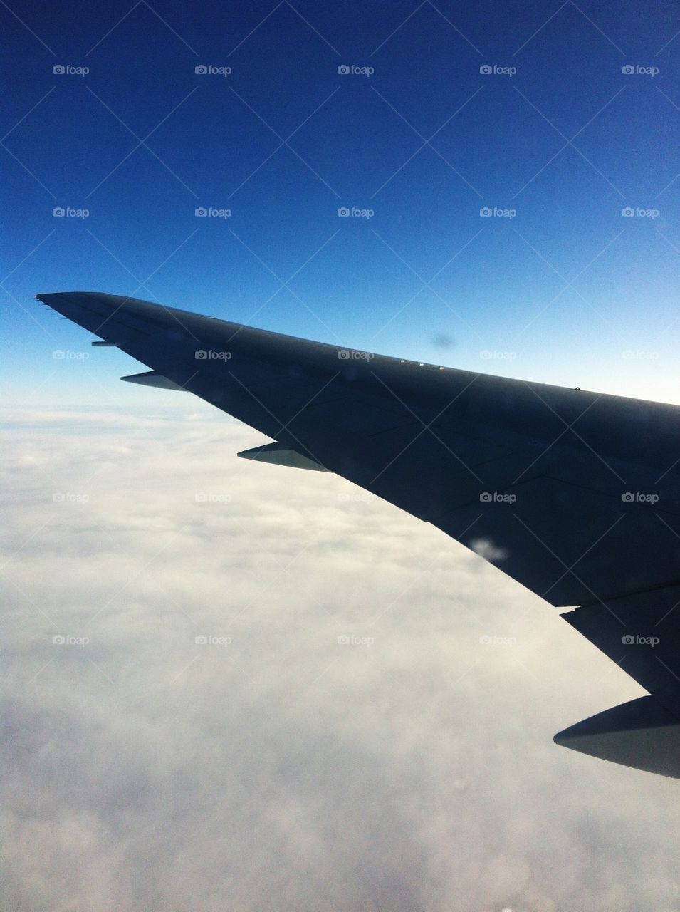 Travel . The flight of life is endless