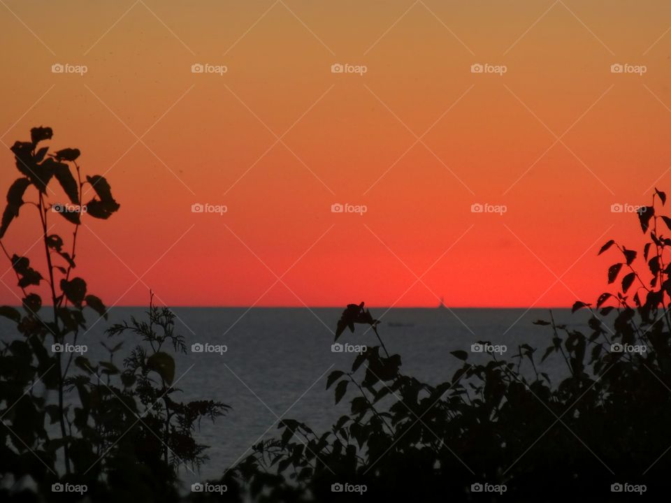 Pure Michigan and all of its be