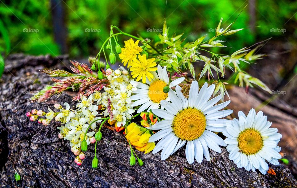 Beautiful spring bouquet