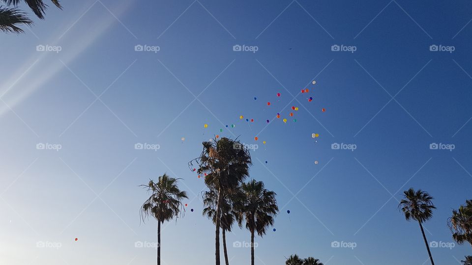 Balloons in venice