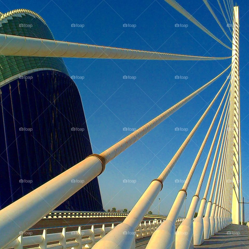 Valencia bridge
