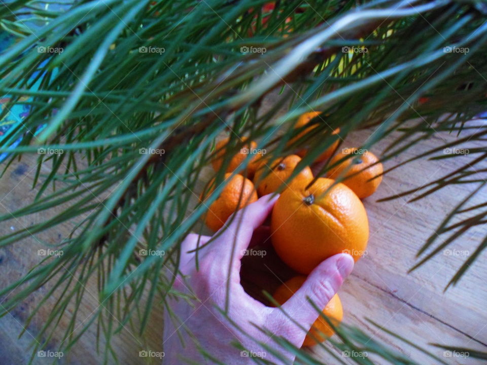 orange and tangerines are on the table