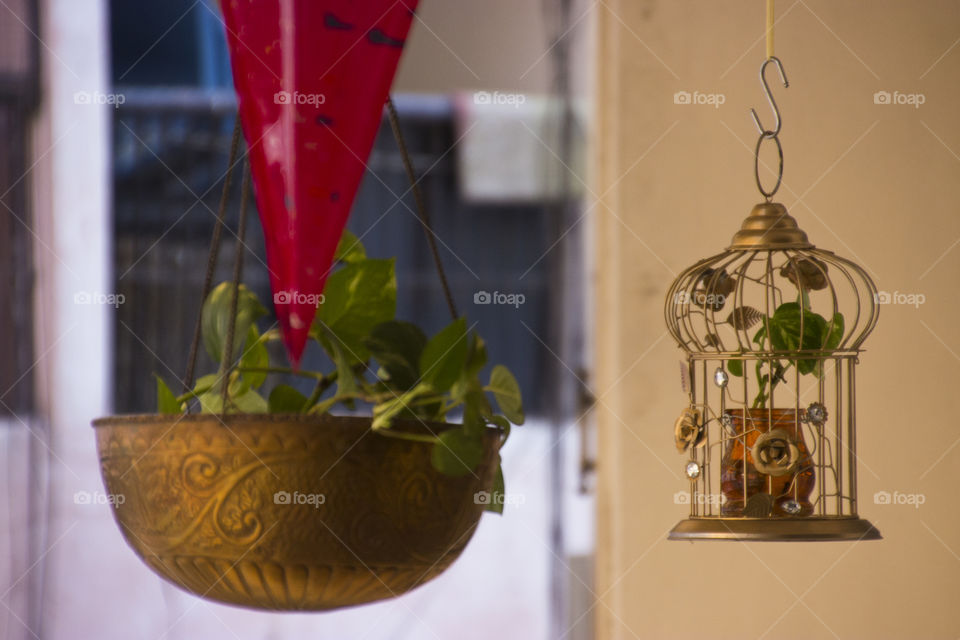 Outdoor metal cage, interior hanging