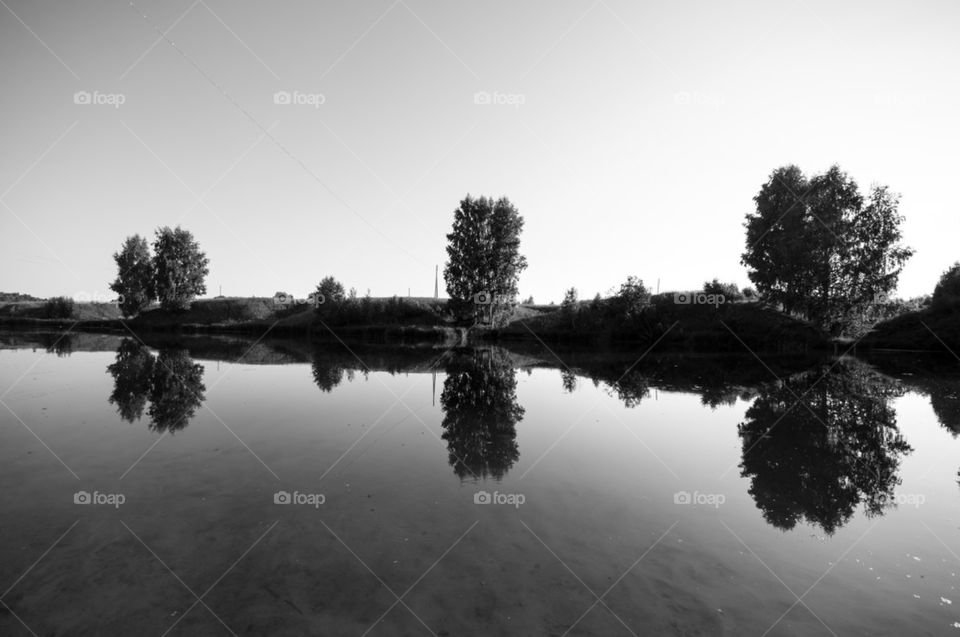 Reflections of trees in river