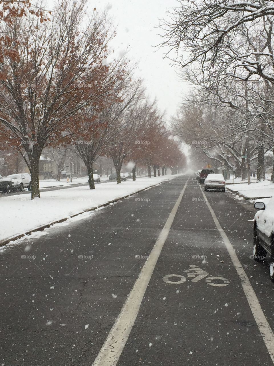 A quiet road during snowfall in Salt Lake City, Utah