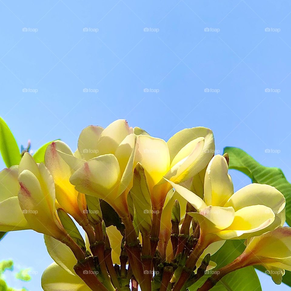 Upload the photo of the month April