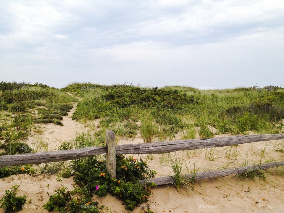 Cape Cod