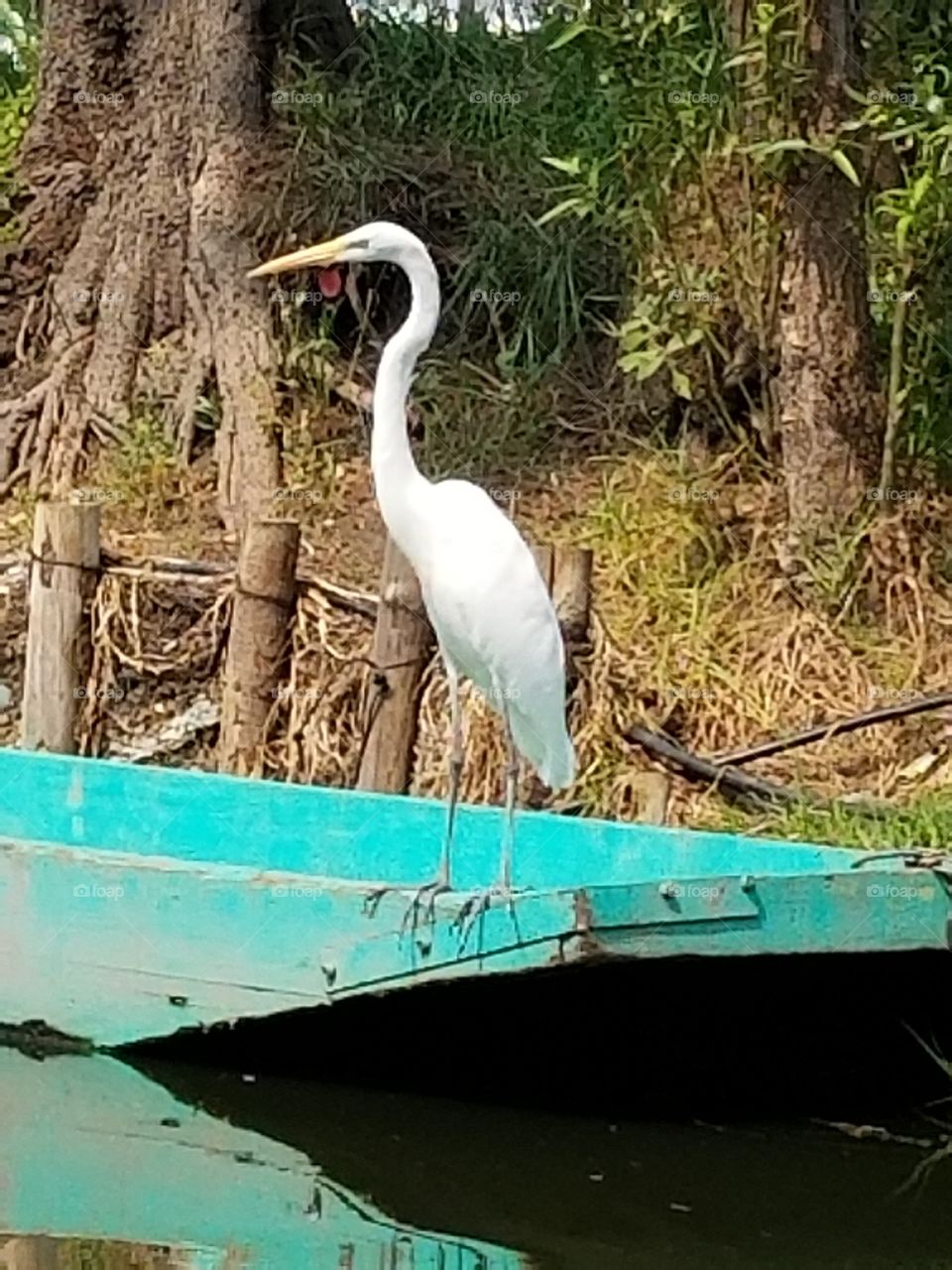 Crane on a boat