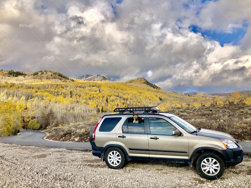 When the leaves turn each year we hit the road. There’s too much beauty and color to see to stay at home 