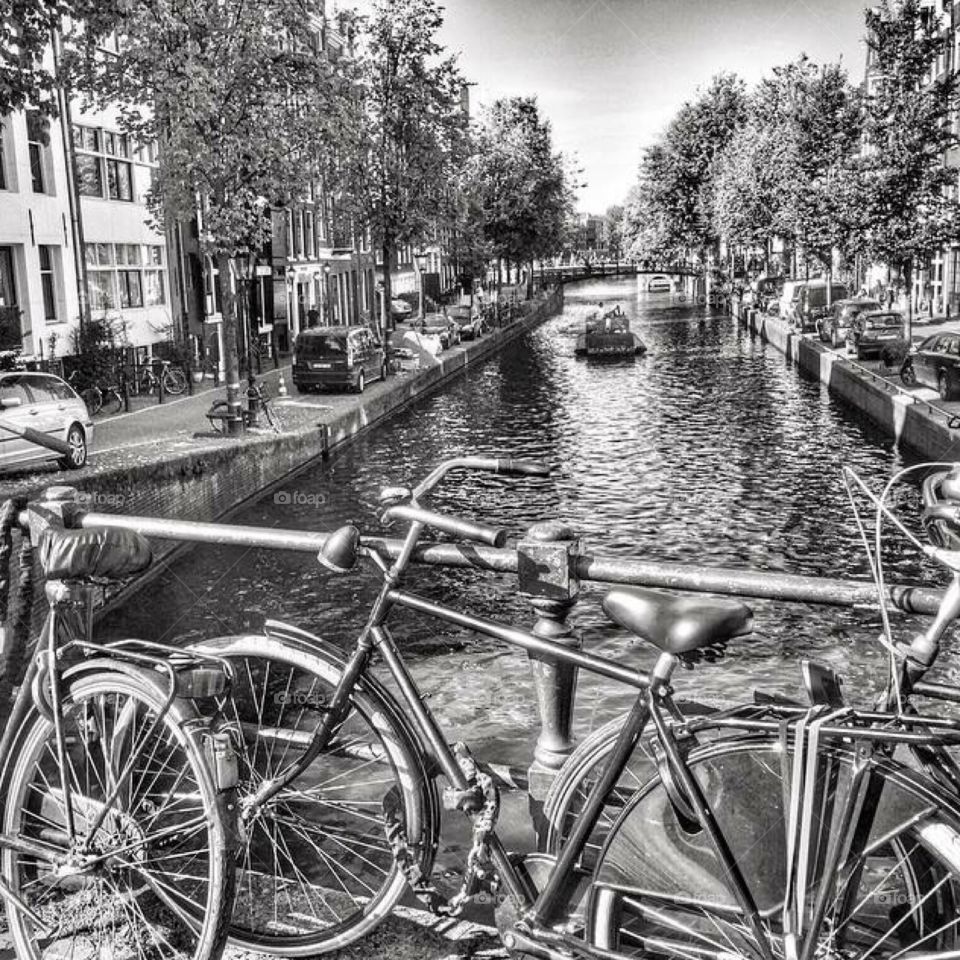 Amsterdam cyclists 