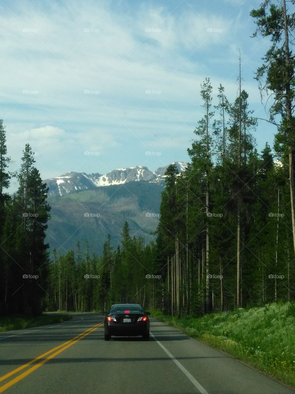 Yellowstone roads
