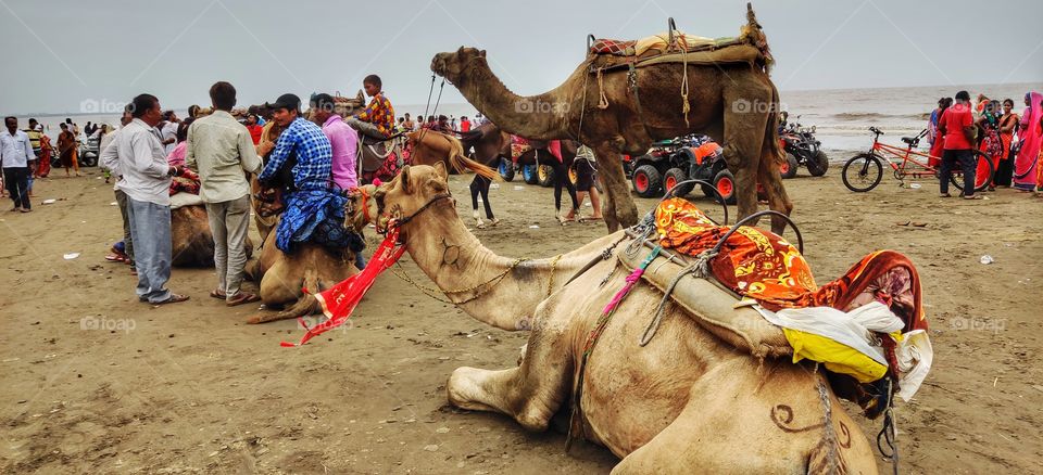 dumas beach, surat, gujarat, india