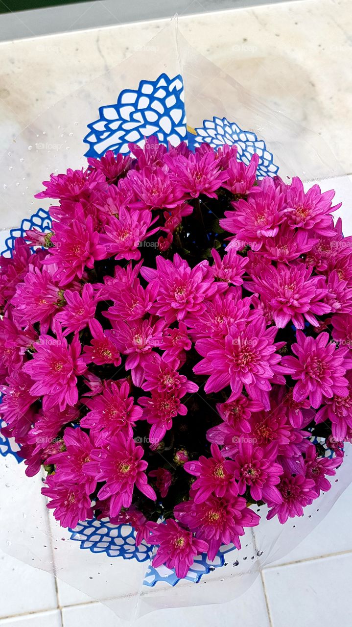 Beautiful chrysanthemum  flowers, bouquet,decoration, season, petal,colour, floral and love🌺🌺🌺🌺🌺