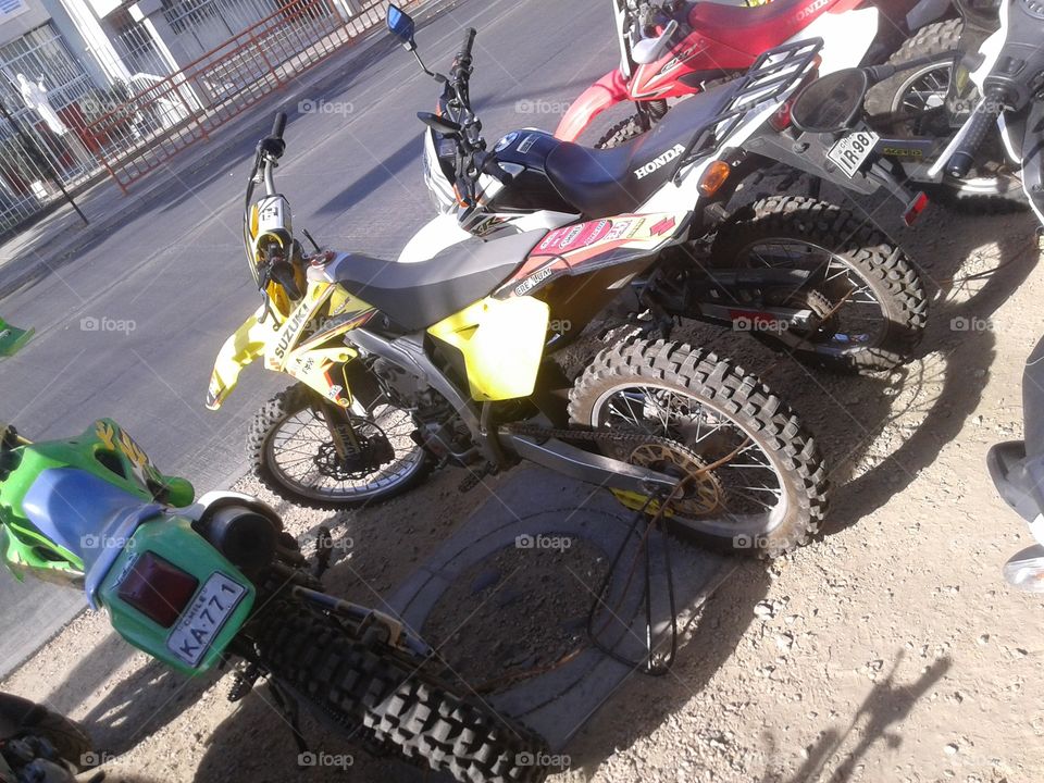 A lo pastrana