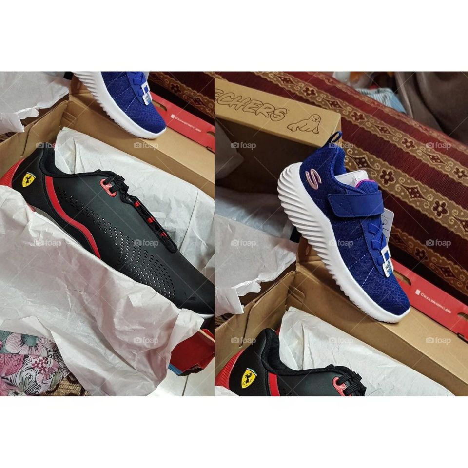 Footwear Collection Puma and Skechers