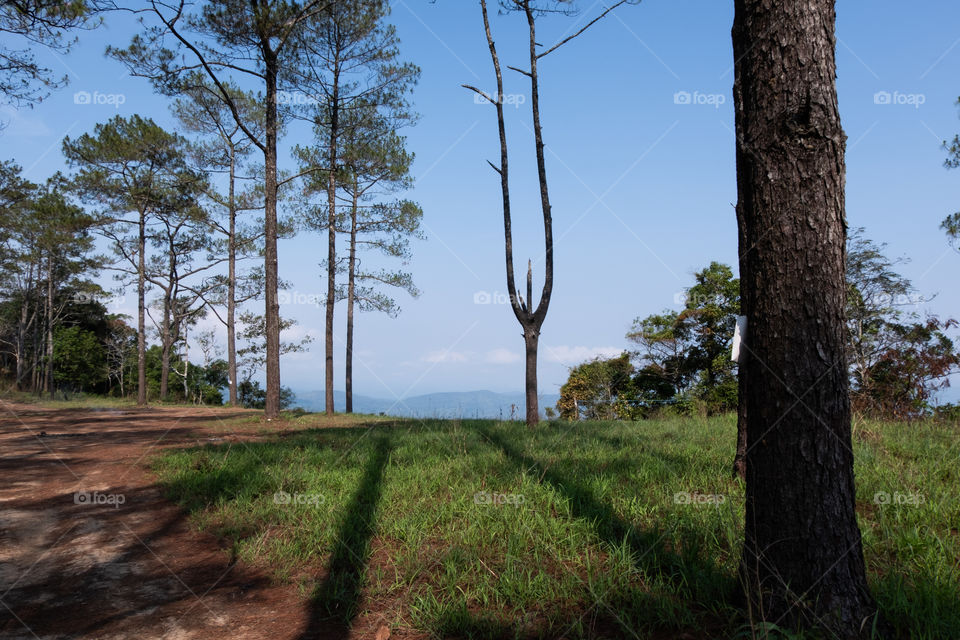 Beautiful clear sky from the mountain view
