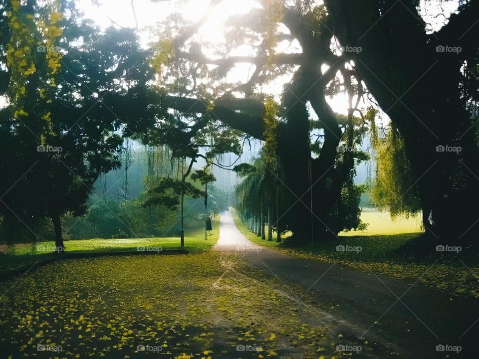 beautiful place in sri lanka