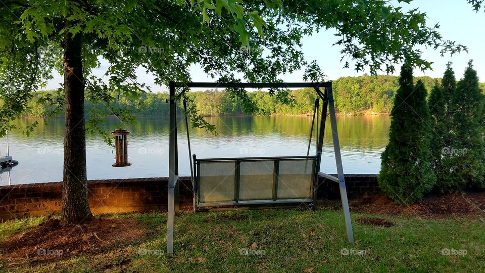 a swing with a view of the lake and nature.