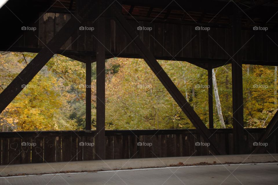 Fall colors looking out from covered bridge