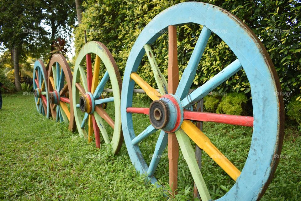 the colourfull  circle wood green leafs background old memorial of aqwa park sri Lanka