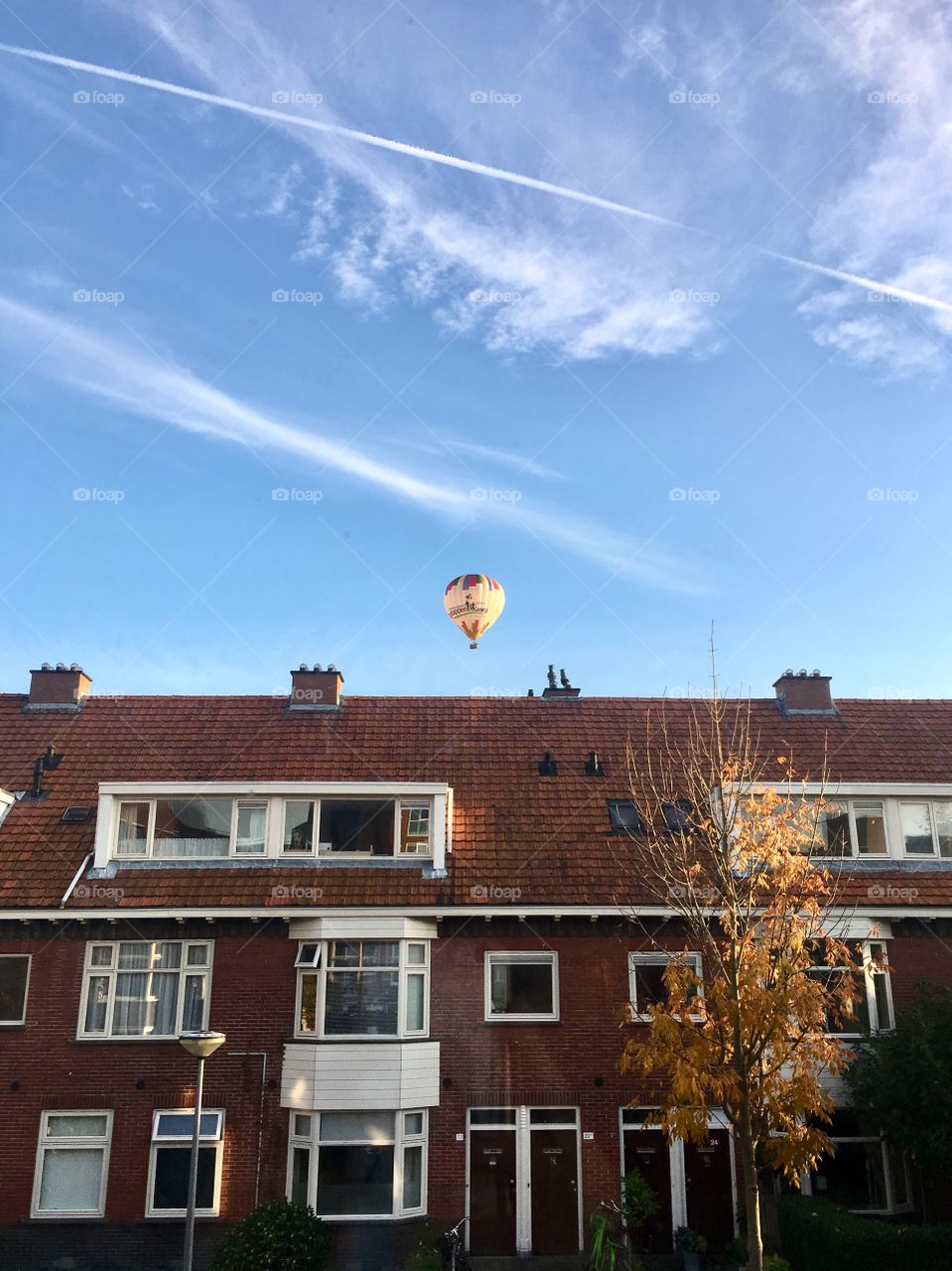 Hot Air Balloon Peering Out From the Neighbourhood