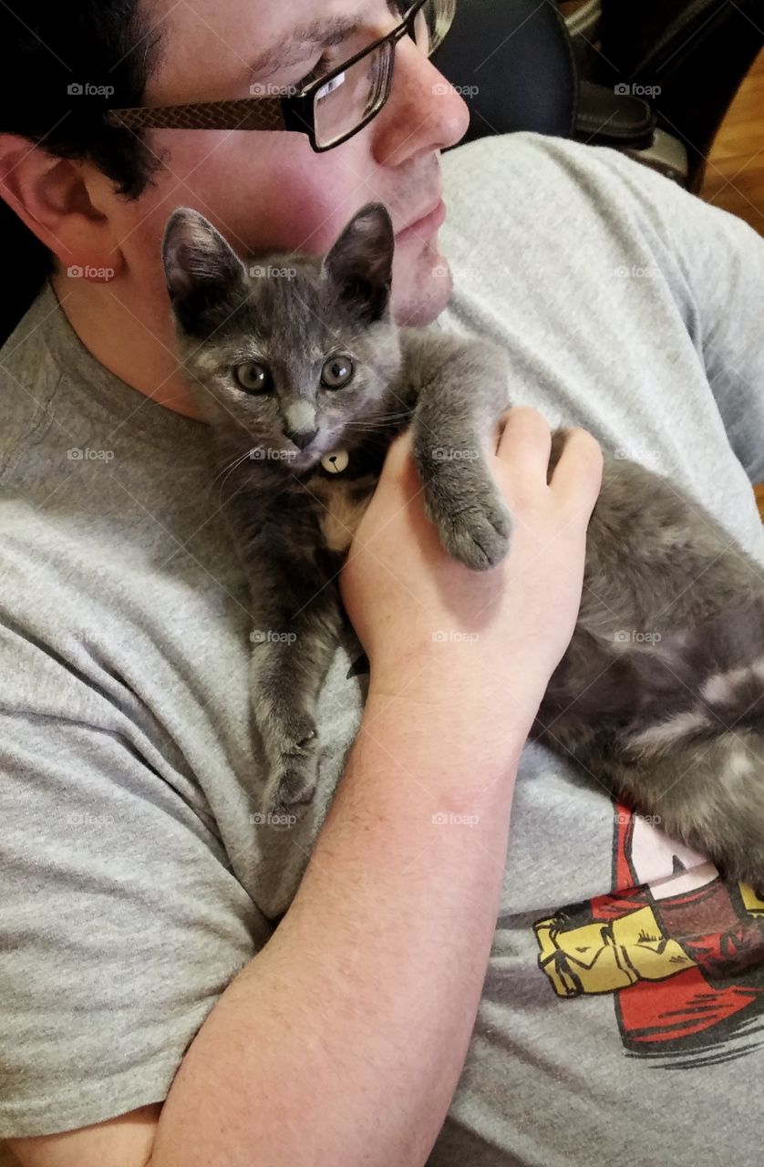 Kitten being held by man
