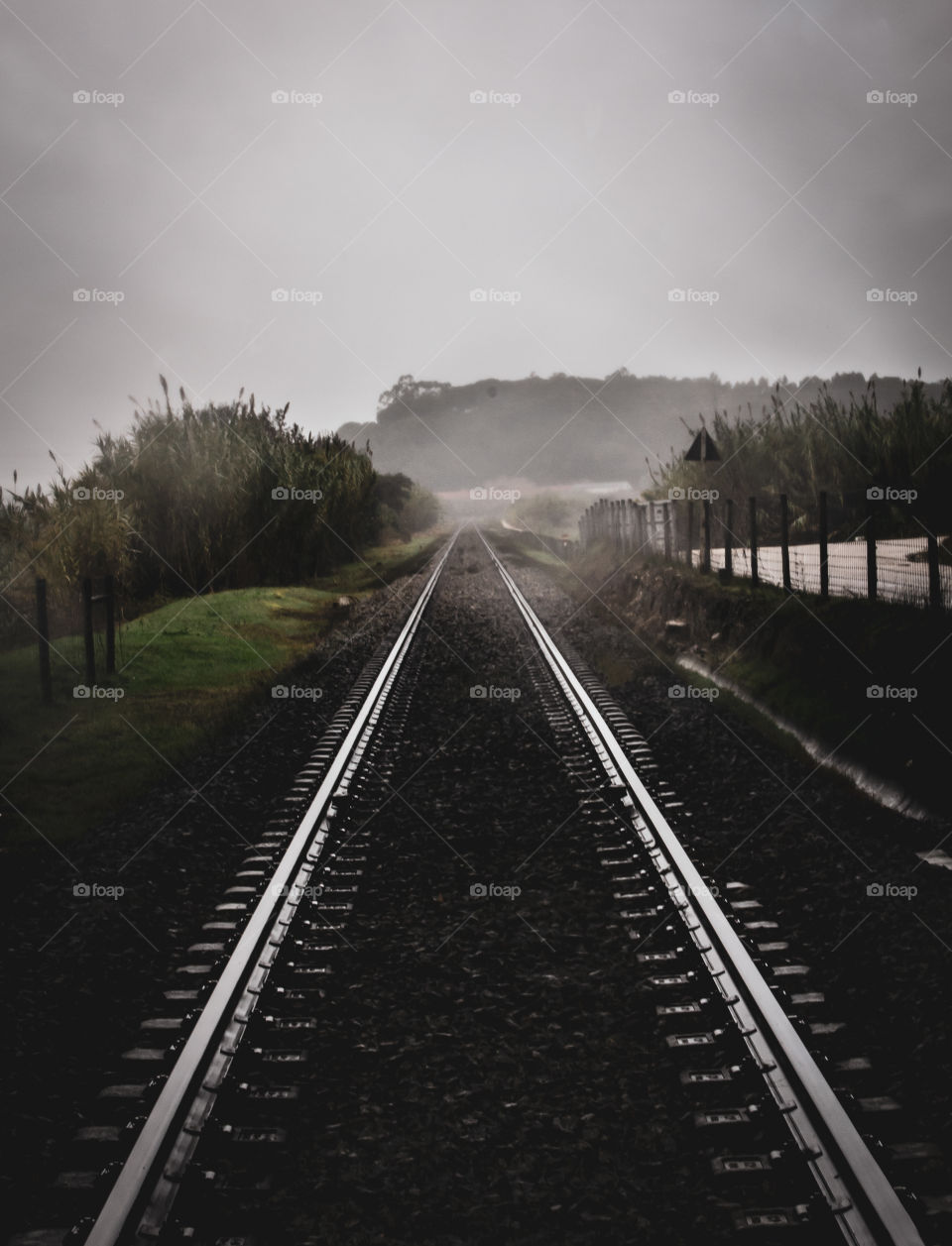 Foggy railway