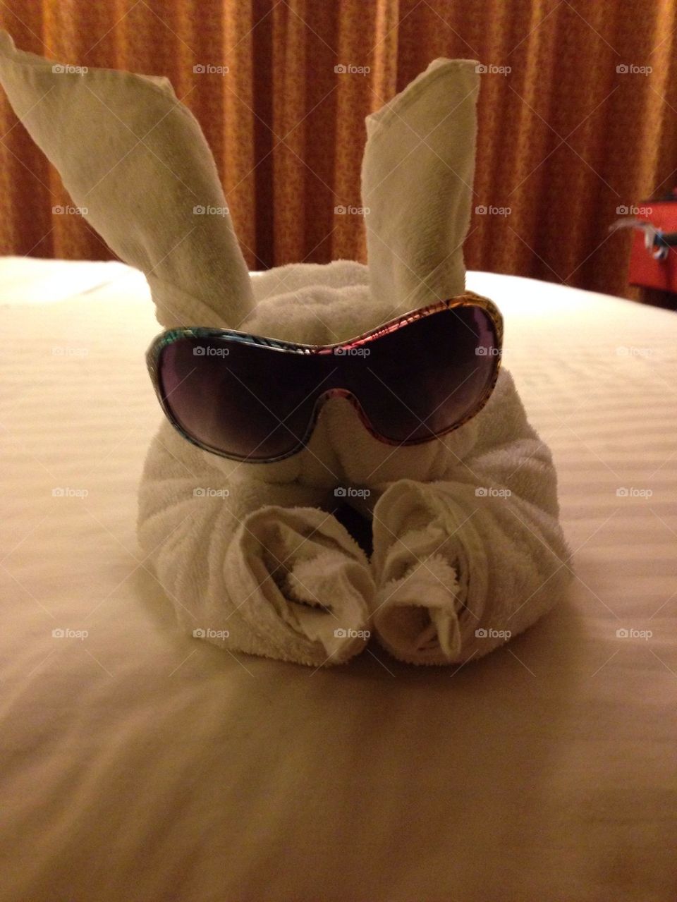 Towel bunny