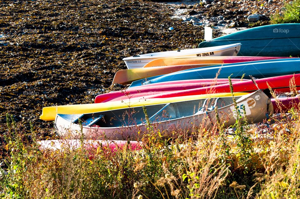 lining up. the boats are lined up along the shore