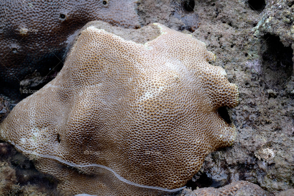 The rock on the beach in Anyer, Serang Baten, Indonesia.