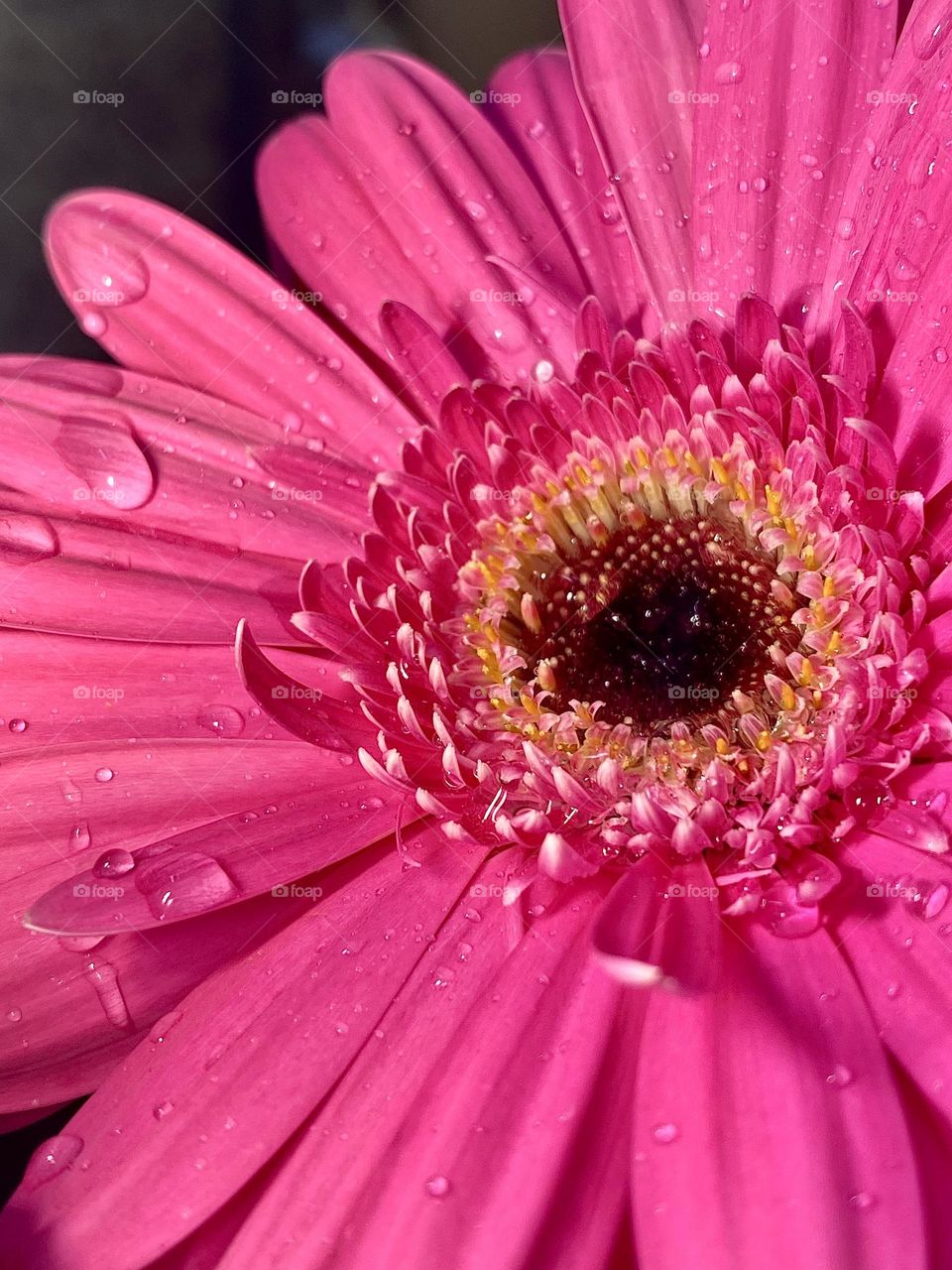 bright colors in minimalism