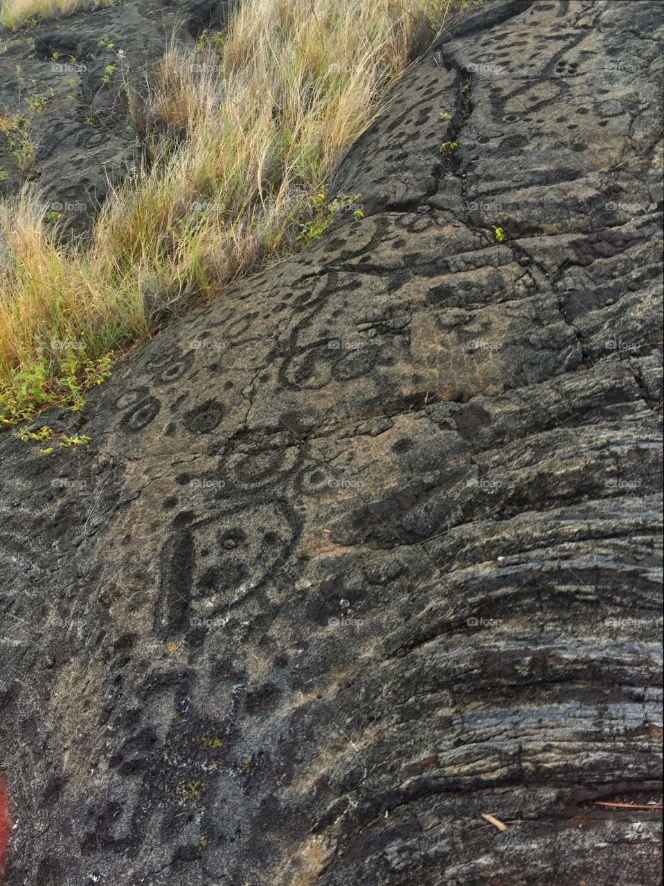 Petroglyphs 