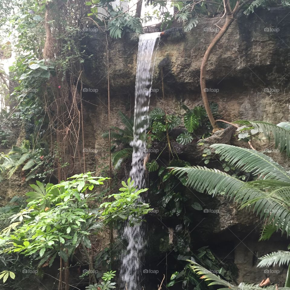 Waterfall